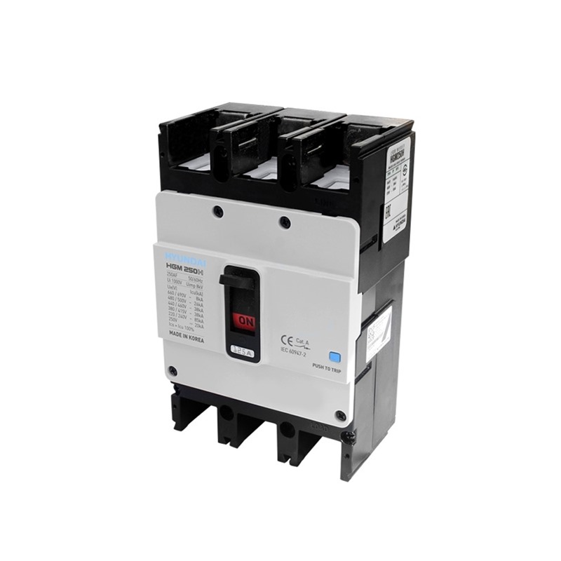 Hyundai Circuit Breakers 125A Type HGM250