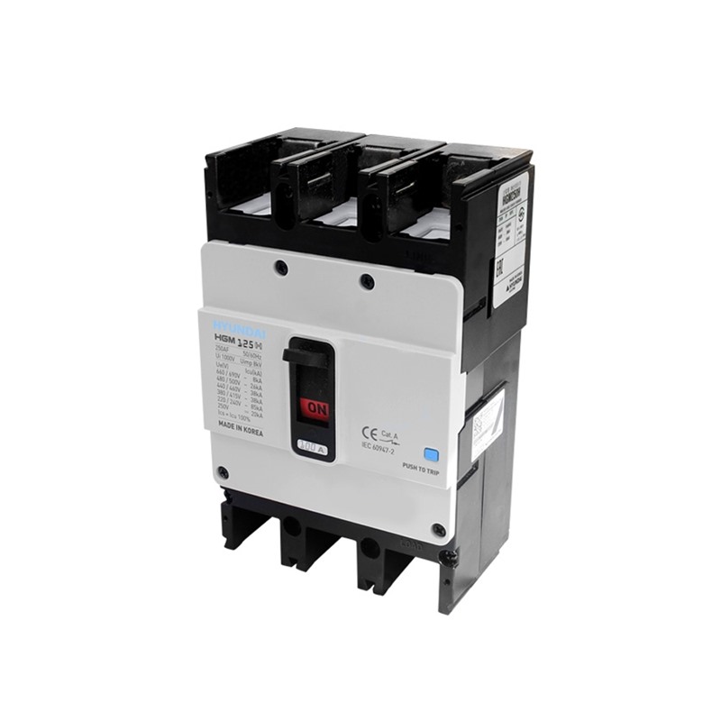 Hyundai Circuit Breakers 100A Type HGM125	