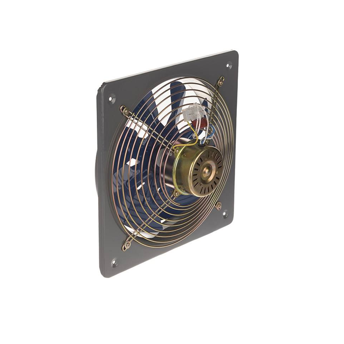 Damandeh Plate Mounted Axial Extract Fan